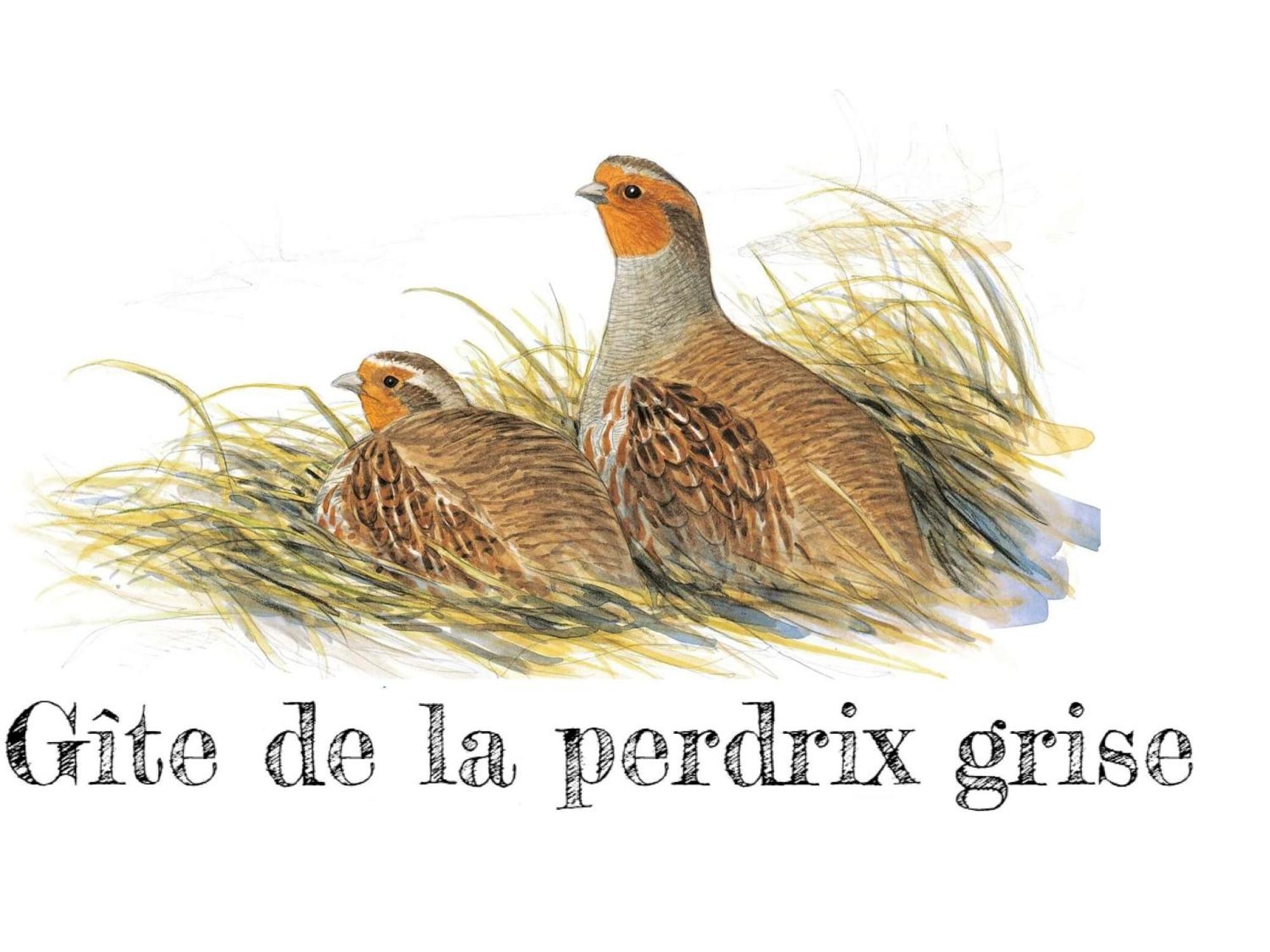 Gîte Audeville, 5 pièces, 8 personnes - FR-1-590-136 Esterno foto